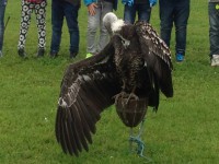 /album/fotogalerie-nase-trida/img-4720-jpg/